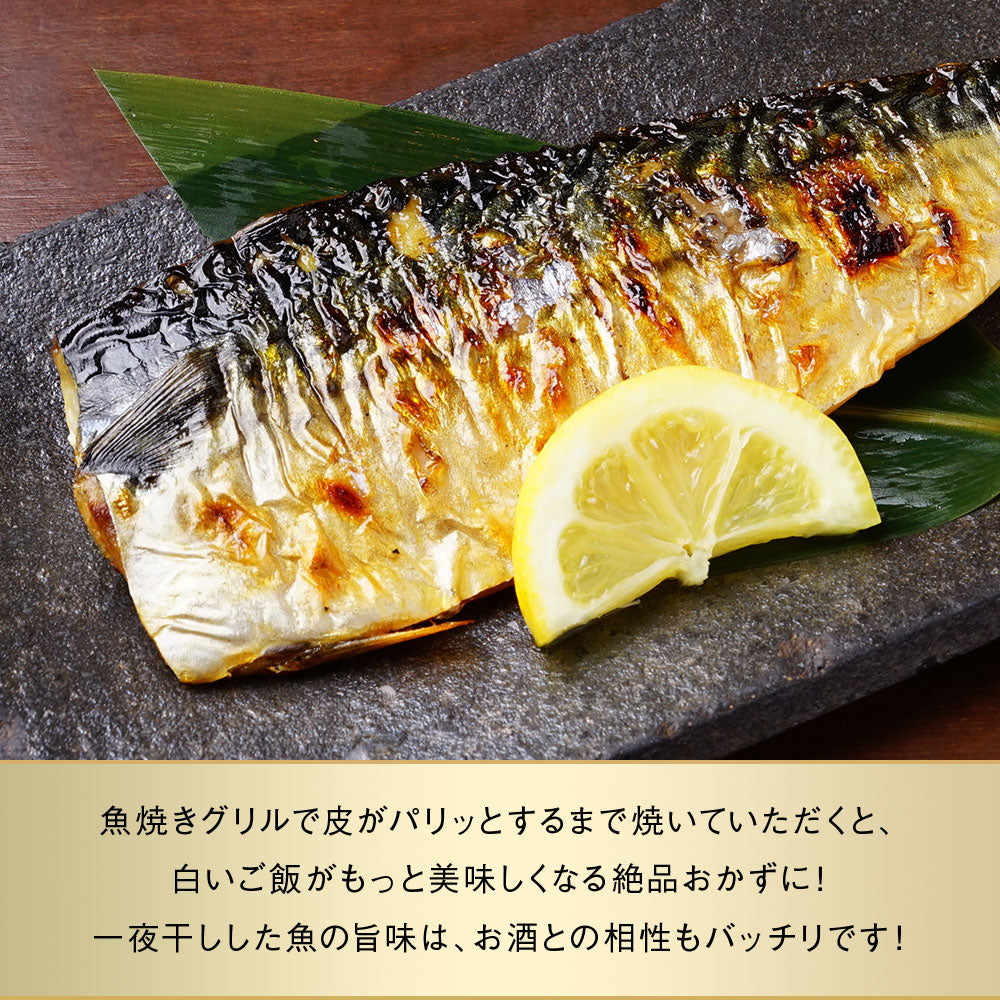 サバ半身一夜干し 12枚前後 北海道 知床・羅臼産  総重量1.3kg前後 鯖 さば 干物 国産 天然 真空パック 焼魚 おかず