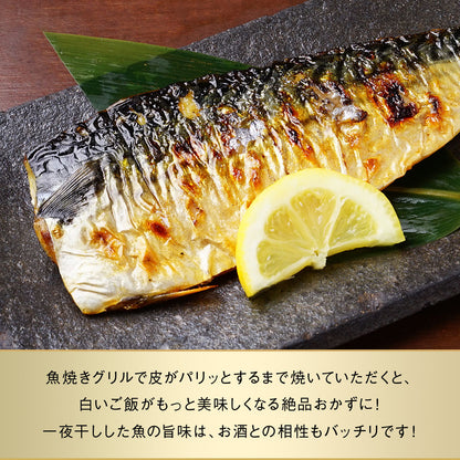 サバ半身一夜干し 12枚前後 北海道 知床・羅臼産  総重量1.3kg前後 鯖 さば 干物 国産 天然 真空パック 焼魚 おかず