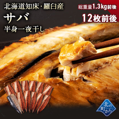 サバ半身一夜干し 12枚前後 北海道 知床・羅臼産  総重量1.3kg前後 鯖 さば 干物 国産 天然 真空パック 焼魚 おかず