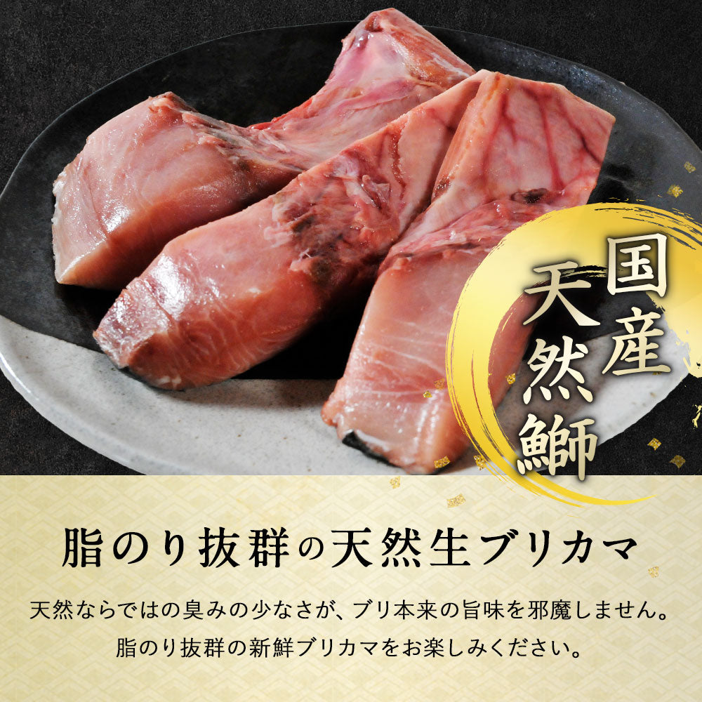 北海道 知床・羅臼産 ブリカマ 5枚 ぶりかま ブリ 鰤