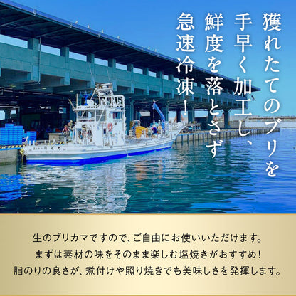 北海道 知床・羅臼産 ブリカマ 5枚 ぶりかま ブリ 鰤