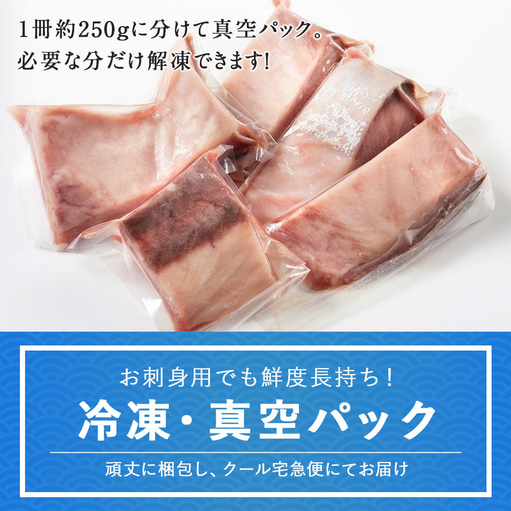 ブリ 北海道 知床・羅臼産 250g×2 羅臼町ふるさと納税でも人気の、良質な天然モノ！ 刺身 さしみ 短冊 鰤 ぶり 冷凍 真空パック