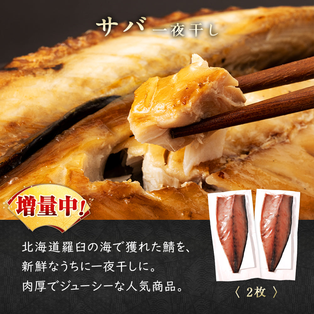 北海道産 干物セット 全5種 サバ一夜干し/ホッケ半身一夜干し/ナメタガレイ一夜干し/ブリカマ/イカ一夜干し お取り寄せ グルメ ギフト プレゼント 内祝い 国産 無添加