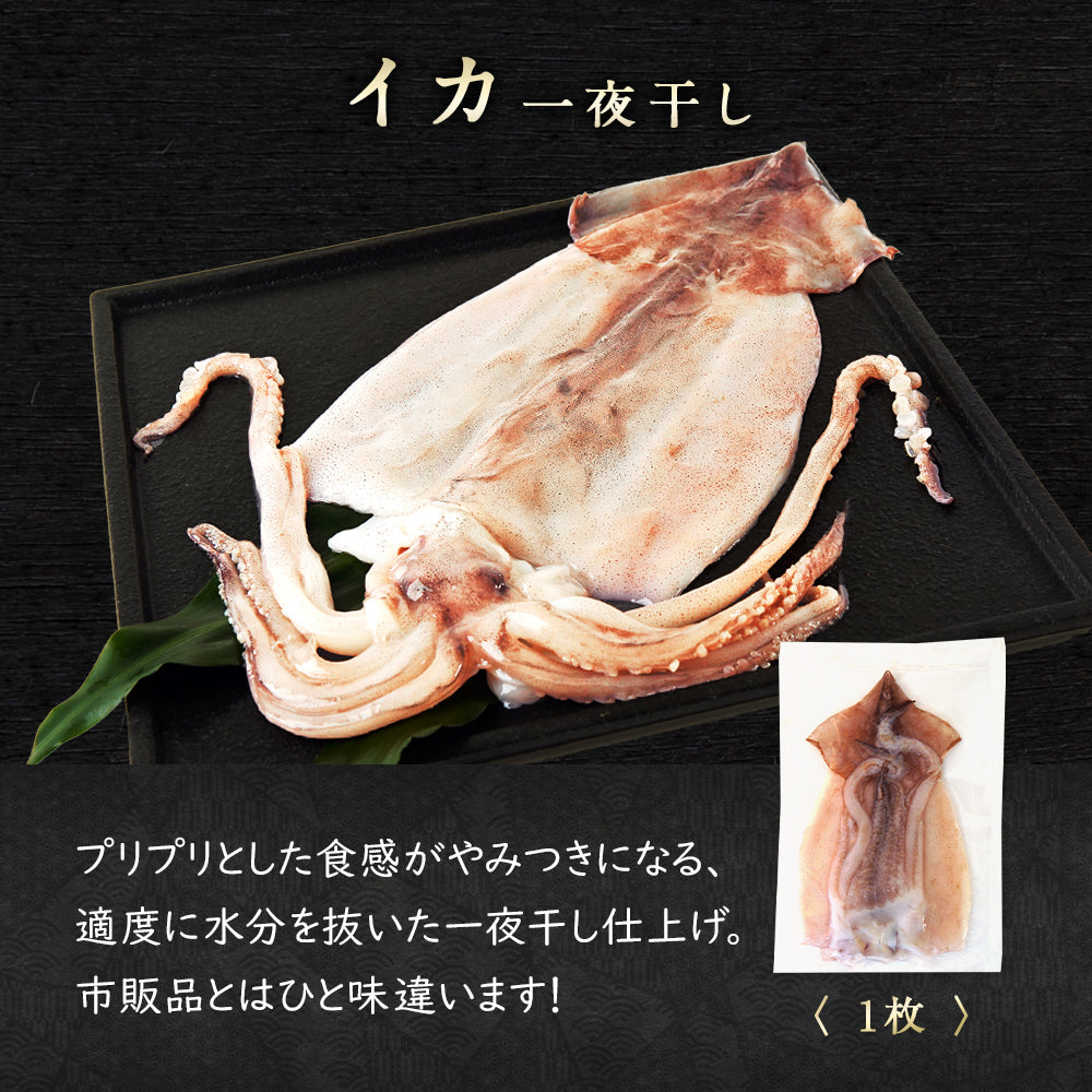 北海道産 干物セット 全5種 サバ一夜干し/ホッケ半身一夜干し/ナメタガレイ一夜干し/ブリカマ/イカ一夜干し お取り寄せ グルメ ギフト プレゼント 内祝い 国産 無添加