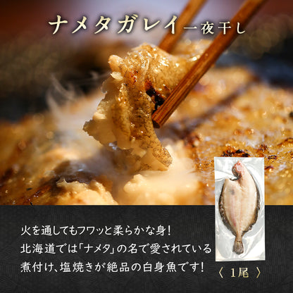 北海道産 干物セット 全5種 サバ一夜干し/ホッケ半身一夜干し/ナメタガレイ一夜干し/ブリカマ/イカ一夜干し お取り寄せ グルメ ギフト プレゼント 内祝い 国産 無添加