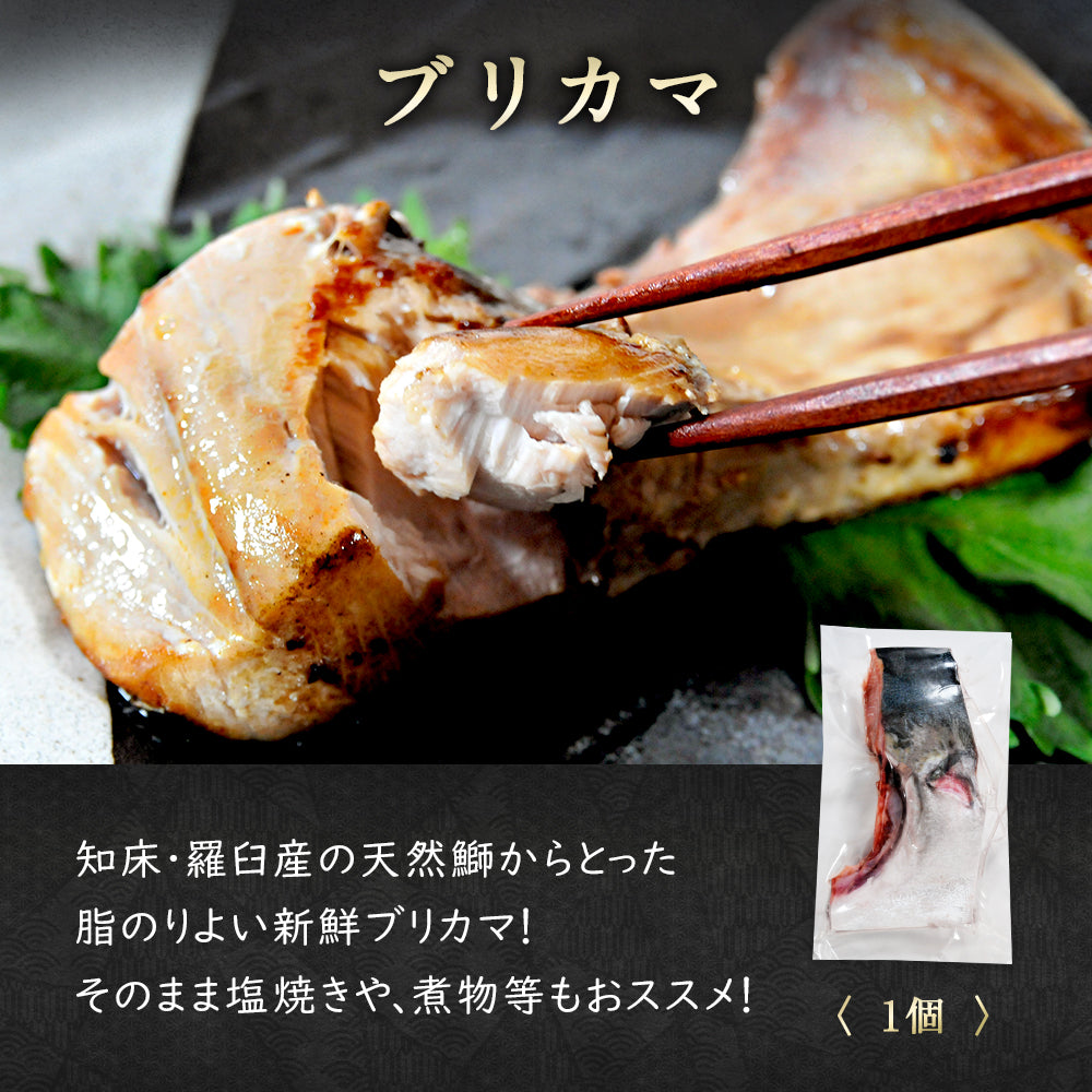 北海道産 干物セット 全5種 サバ一夜干し/ホッケ半身一夜干し/ナメタガレイ一夜干し/ブリカマ/イカ一夜干し お取り寄せ グルメ ギフト プレゼント 内祝い 国産 無添加