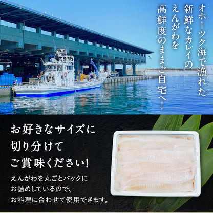 えんがわ 北海道 知床・羅臼産 300g(150g×2)  刺身用 カレイ 縁側 エンガワ