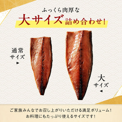 サバ半身 一夜干し 大サイズ 5枚前後 総重量1.3kg前後 北海道 知床・羅臼産  鯖 さば 干物 国産 天然 真空パック 焼魚 おかず ご飯のお供 お取り寄せ 冷凍 送料無料