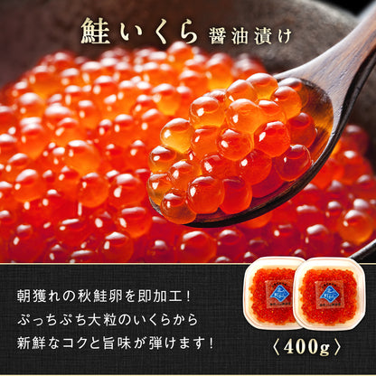 魚卵スペシャルセット 全5種 総重量2.2kg 鮭いくら醤油漬け400g/鮭筋子塩漬け500g/鮭いくら塩漬け500g/たらこ切れ子400g/明太子切れ子400g 北海道 知床・羅臼産