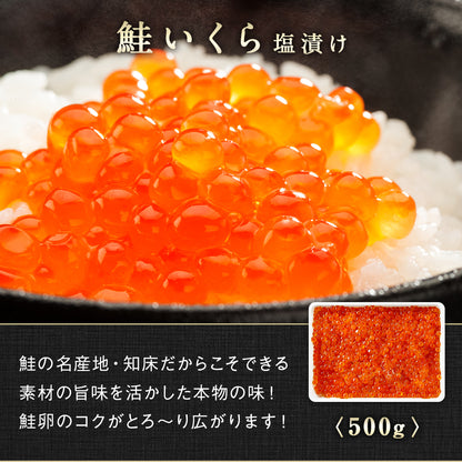 魚卵スペシャルセット 全5種 総重量2.2kg 鮭いくら醤油漬け400g/鮭筋子塩漬け500g/鮭いくら塩漬け500g/たらこ切れ子400g/明太子切れ子400g 北海道 知床・羅臼産