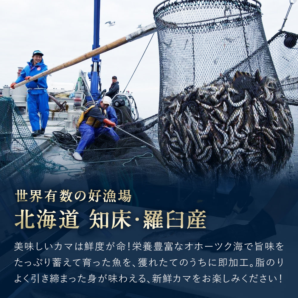 北海道 知床・羅臼産 ブリカマ・鮭カマセット 10袋入(各5袋) ぶり 鰤 さけ 鮭 しゃけ カマ 切り身 国産 冷凍 おかず おつまみ お取り寄せ グルメ