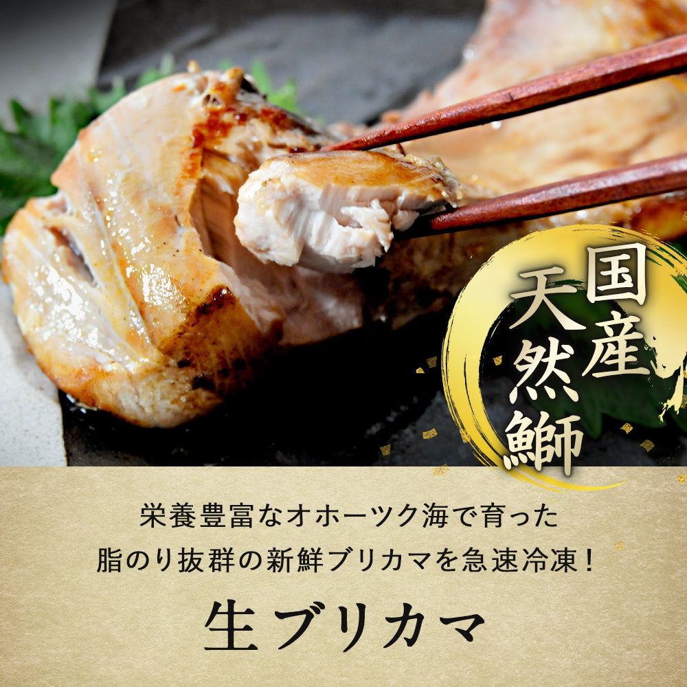 北海道 知床・羅臼産 ブリカマ・鮭カマセット 10袋入(各5袋) ぶり 鰤 さけ 鮭 しゃけ カマ 切り身 国産 冷凍 おかず おつまみ お取り寄せ グルメ