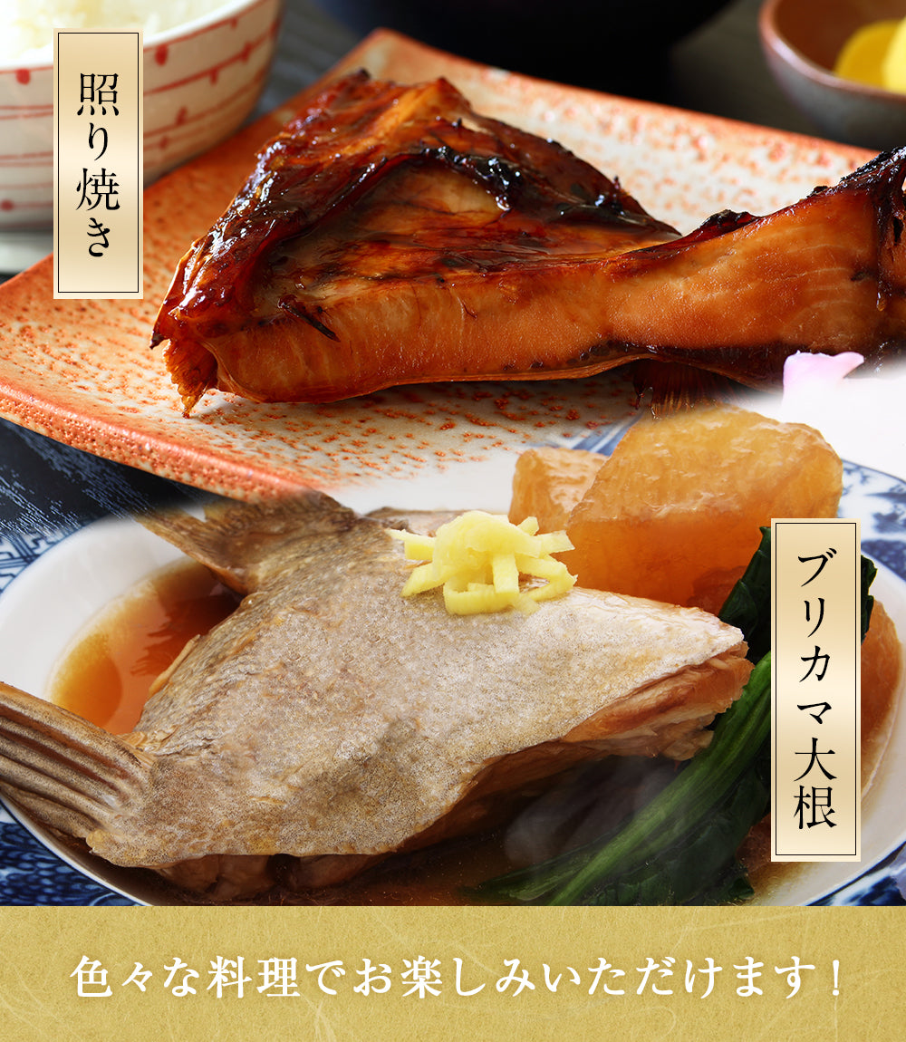 北海道 知床・羅臼産 ブリカマ・鮭カマセット 10袋入(各5袋) ぶり 鰤 さけ 鮭 しゃけ カマ 切り身 国産 冷凍 おかず おつまみ お取り寄せ グルメ