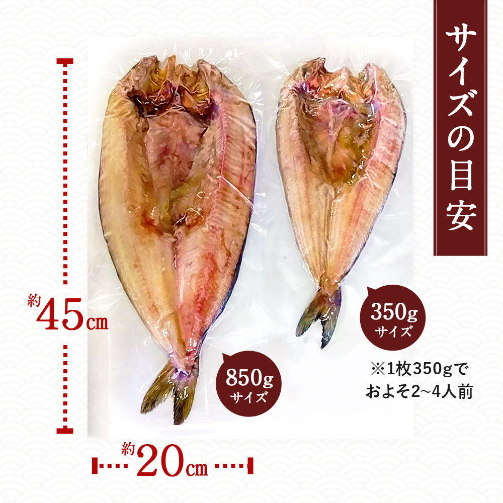 北海道 知床・羅臼産 メガホッケ 一夜干し 3枚入 （1枚あたり700g〜1.2kg）総重量2.5kg前後  ほっけ ホッケ 真ほっけ 羅臼ホッケ 干物 魚 開き 手造り お取り寄せ グルメ バーベキュー BBQ  国産 特大 超特大 メガサイズ