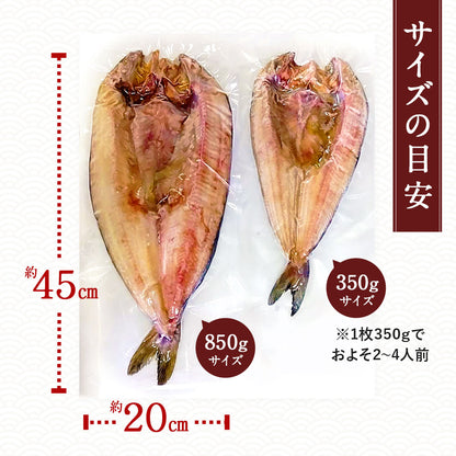 北海道 知床・羅臼産 メガホッケ 一夜干し 3枚入 （1枚あたり700g〜1.2kg）総重量2.5kg前後  ほっけ ホッケ 真ほっけ 羅臼ホッケ 干物 魚 開き 手造り お取り寄せ グルメ バーベキュー BBQ  国産 特大 超特大 メガサイズ