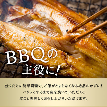 北海道 知床・羅臼産 メガホッケ 一夜干し 3枚入 （1枚あたり700g〜1.2kg）総重量2.5kg前後  ほっけ ホッケ 真ほっけ 羅臼ホッケ 干物 魚 開き 手造り お取り寄せ グルメ バーベキュー BBQ  国産 特大 超特大 メガサイズ