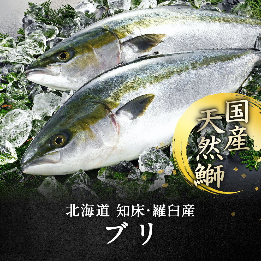 北海道 知床・羅臼産 ブリ西京漬け 10切 （2切×5パック） ぶり 鰤 漬魚 魚 天然魚 おかず おつまみ 惣菜 お取り寄せ グルメ ギフト プレゼント 内祝い 国産 冷凍
