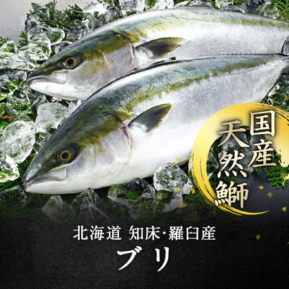 北海道 知床・羅臼産 ブリ西京漬け 10切 （2切×5パック） ぶり 鰤 漬魚 魚 天然魚 おかず おつまみ 惣菜 お取り寄せ グルメ ギフト プレゼント 内祝い 国産 冷凍