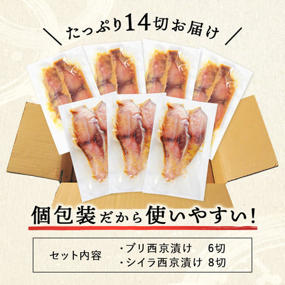 北海道 知床・羅臼産 西京漬けセット 14切 ブリ西京漬け6切/シイラ西京漬け8切 ぶり 鰤 しいら マヒマヒ 魚 天然魚 おかず おつまみ 惣菜 お取り寄せ グルメ ギフト プレゼント 内祝い 国産 冷凍