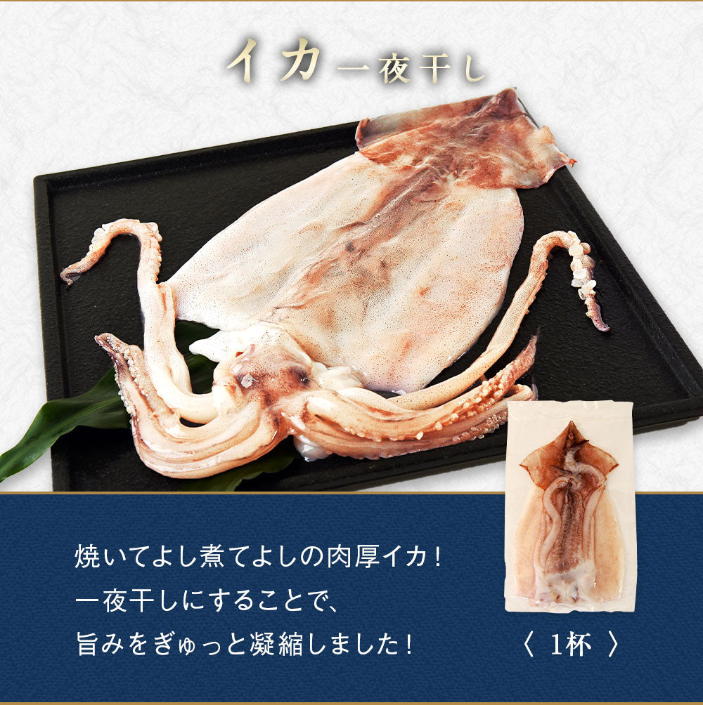 北海道 海鮮ギフトセット〜仁宝丸〜 全8品 7,980円！【北海道 知床・羅臼の海鮮 詰め合わせ おつまみ 魚 海鮮 プレゼント 誕生日 内祝い 敬老の日 50代 60代 70代 80代 国産 冷凍 送料無料】