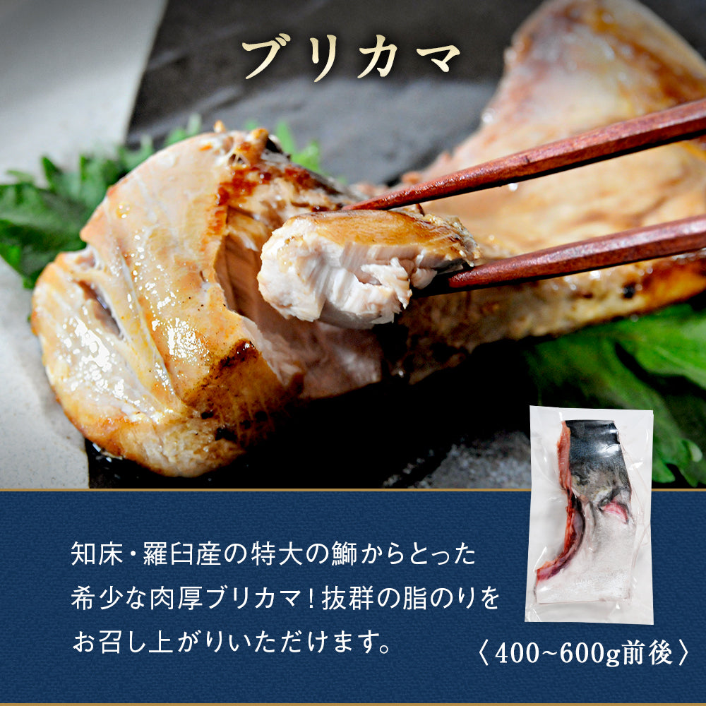 北海道 海鮮ギフトセット〜北翔丸〜 全5品 3,980円！【北海道 知床・羅臼の海鮮 詰め合わせ おつまみ 魚 海鮮 プレゼント 誕生日 内祝い 敬老の日 50代 60代 70代 80代 国産 冷凍 送料無料】